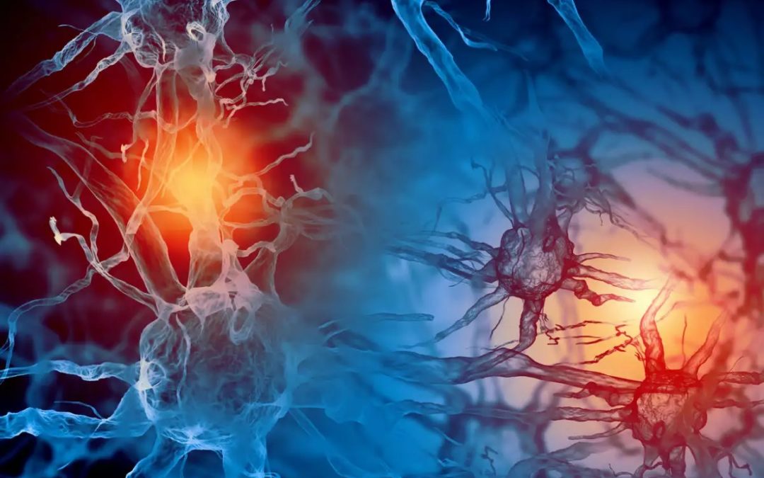 Descobertas células cerebrais que controlam a febre e outros sintomas durante a doença