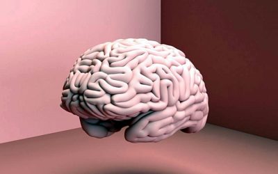 Dia do Cérebro: Hábitos da atualidade podem causar danos cerebrais
