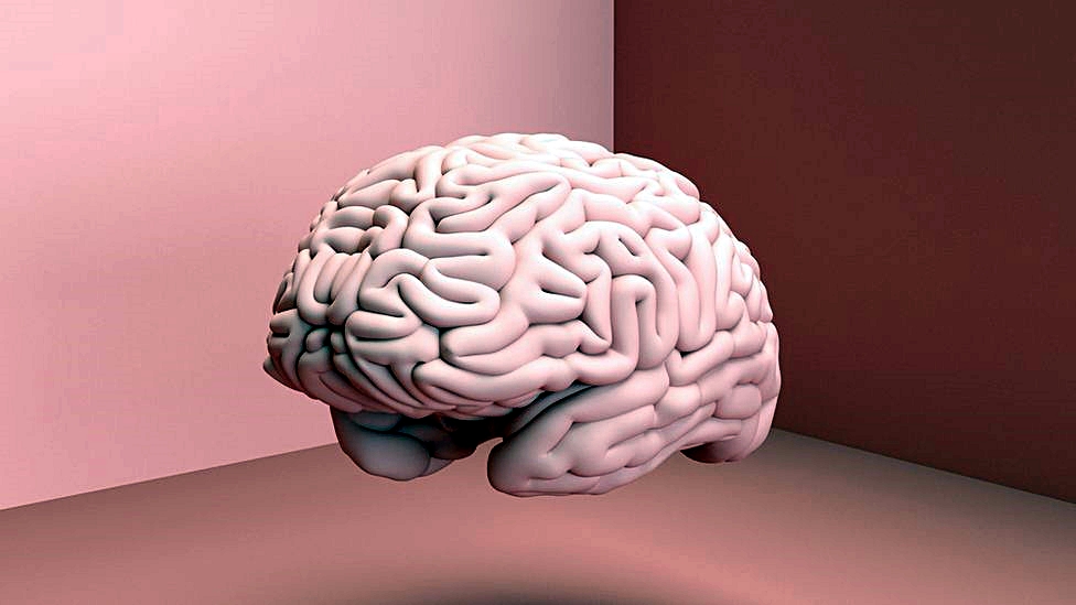 Dia do Cérebro: Hábitos da atualidade podem causar danos cerebrais