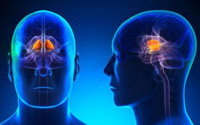 Fazer negócios com pessoas límbicas é sempre um risco, afirma neurocientista