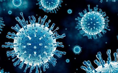Langya, novo vírus da China: conheça sintomas, efeitos colaterais e o que dizem os cientistas
