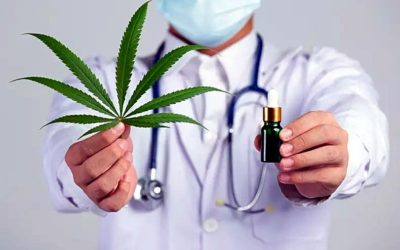 Maioria dos médicos vê o preço do tratamento de cannabis como um dos grandes desafios para se trabalhar