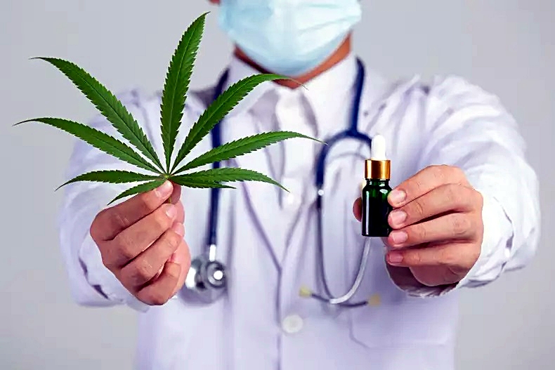 Maioria dos médicos vê o preço do tratamento de cannabis como um dos grandes desafios para se trabalhar